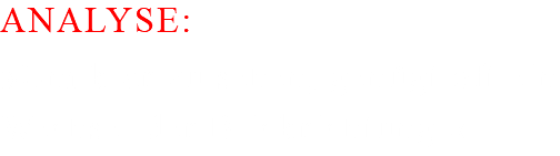 ANALYSE: »Um klar zu sehen, genügt oft ein Wechsel der Blickrichtung.«